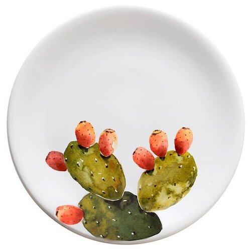 Тарелка десертная Cactus Размер: 20,5*3 см Nuova Cer