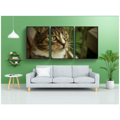 фото Набор модулных постеров для интерьера "домашняя кошка, кот, похмелье" 60x90 см. в тубусе, без рамки lotsprints