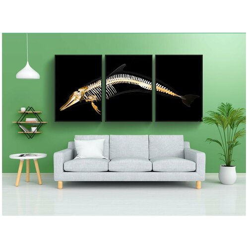 фото Набор модулных постеров для интерьера "дельфин, скелет, анатомия" 60x90 см. в тубусе, без рамки lotsprints