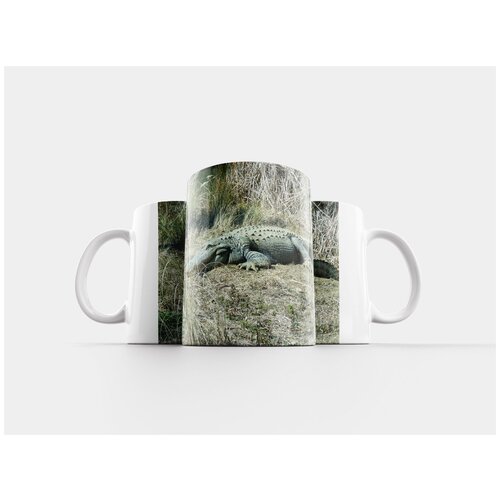 фото Кружка "аллигаторы, серый, животные" 320 мл lotsprints