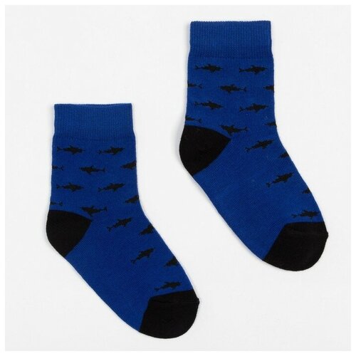 фото Носки детские, цвет синий кобальт, р-р 14 (22-24) нет бренда