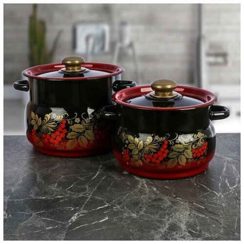 фото Набор кастрюль «рябинка», 2 шт: 4/5,5 л mikimarket