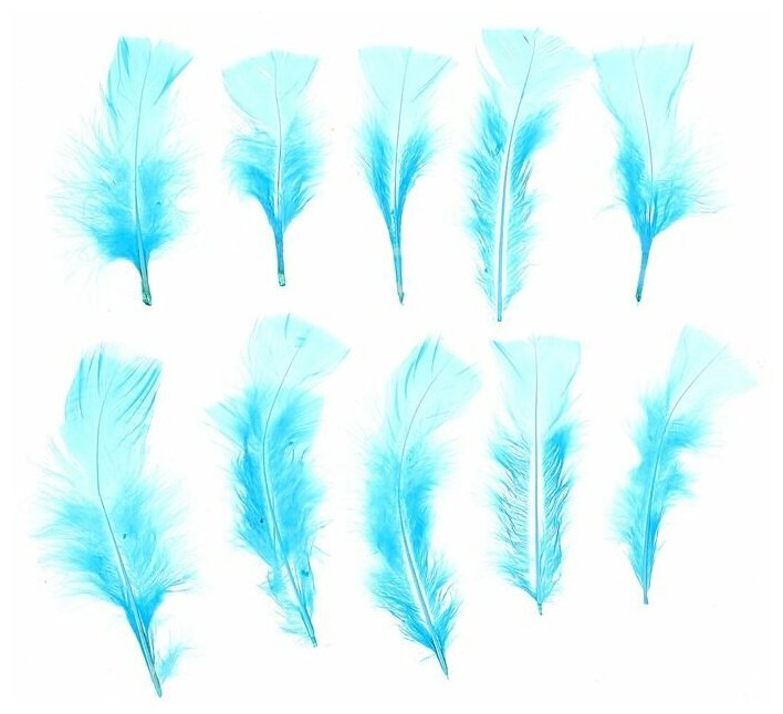 Набор перьев для декора 10 шт., размер 1 шт: 10 × 4 см, цвет голубой