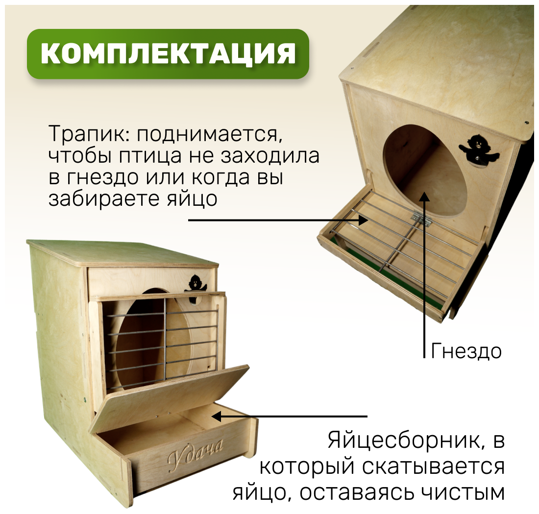 Гнездо для кур-несушек с яйцесборником (Гнездо-Ф) - фотография № 3