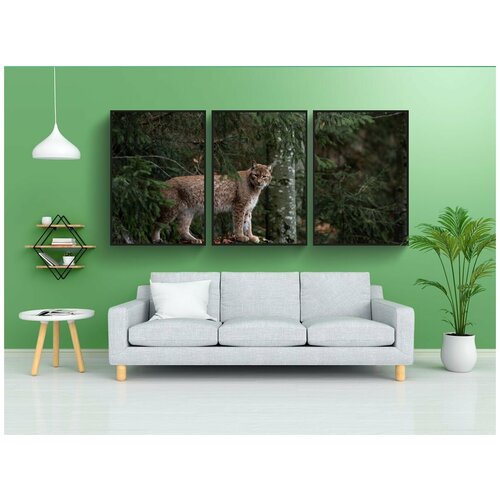 фото Набор модулных постеров для интерьера "рысь, лес, природа" 60x90 см. в тубусе, без рамки lotsprints