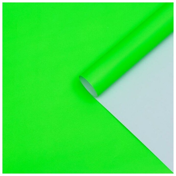 Бумага глянцевая, зеленая, 0,5 х 0,7 м,2 листа