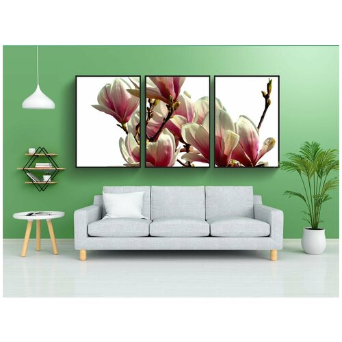 фото Набор модулных постеров для интерьера "магнолии, дерево, расцветает" 60x90 см. в тубусе, без рамки lotsprints