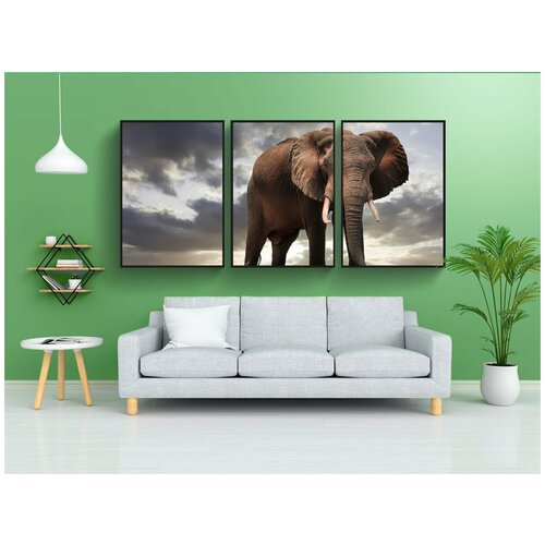 фото Набор модулных постеров для интерьера "слон, зимбабве, африке" 60x90 см. в тубусе, без рамки lotsprints