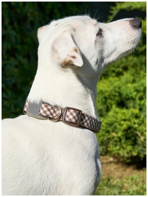 Ошейник для собак Japan Premium Pet "Парижанин" с силиконовой защитой, коричневый, размер М
