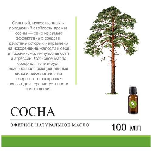 Эфирное масло сосны 100 мл