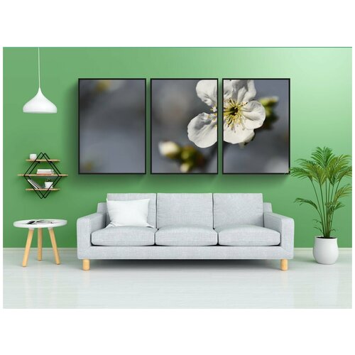 фото Набор модулных постеров для интерьера "meggyfa цветок, вишневое дерево, фруктовые деревья цветок" 60x90 см. в тубусе, без рамки lotsprints