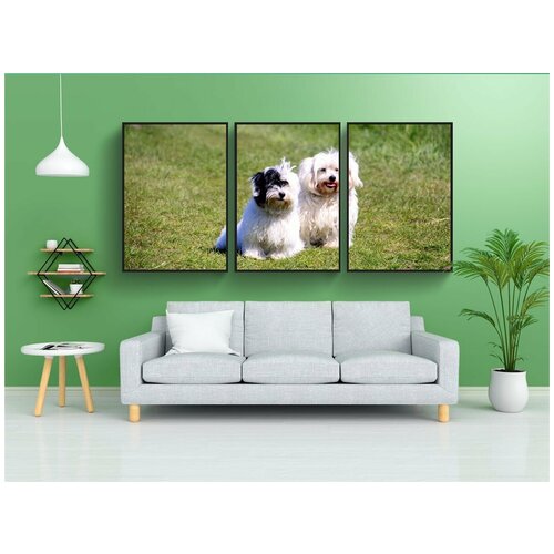 фото Набор модулных постеров для интерьера "собака, щенок, белая собака" 60x90 см. в тубусе, без рамки lotsprints