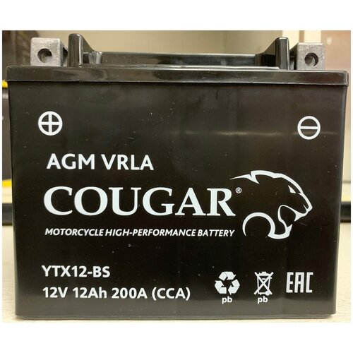 Аккумулятор мотоциклетный COUGAR AGM VRLA 12V12 YTX12-BS 150x87x130