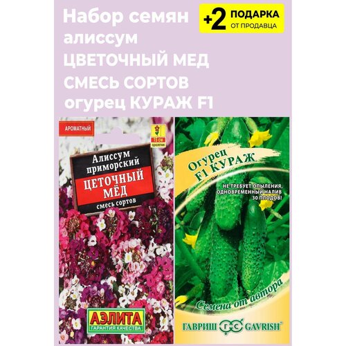 Набор семян: Алиссум приморский "Цветочный мёд", 0,05 гр. + Огурец "Кураж F1", 10 сем. + 2 Подарка