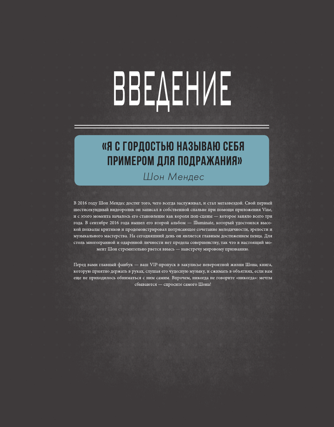 Шон Мендес. Иллюстрированная история самой яркой звезды поп-музыки - фото №8