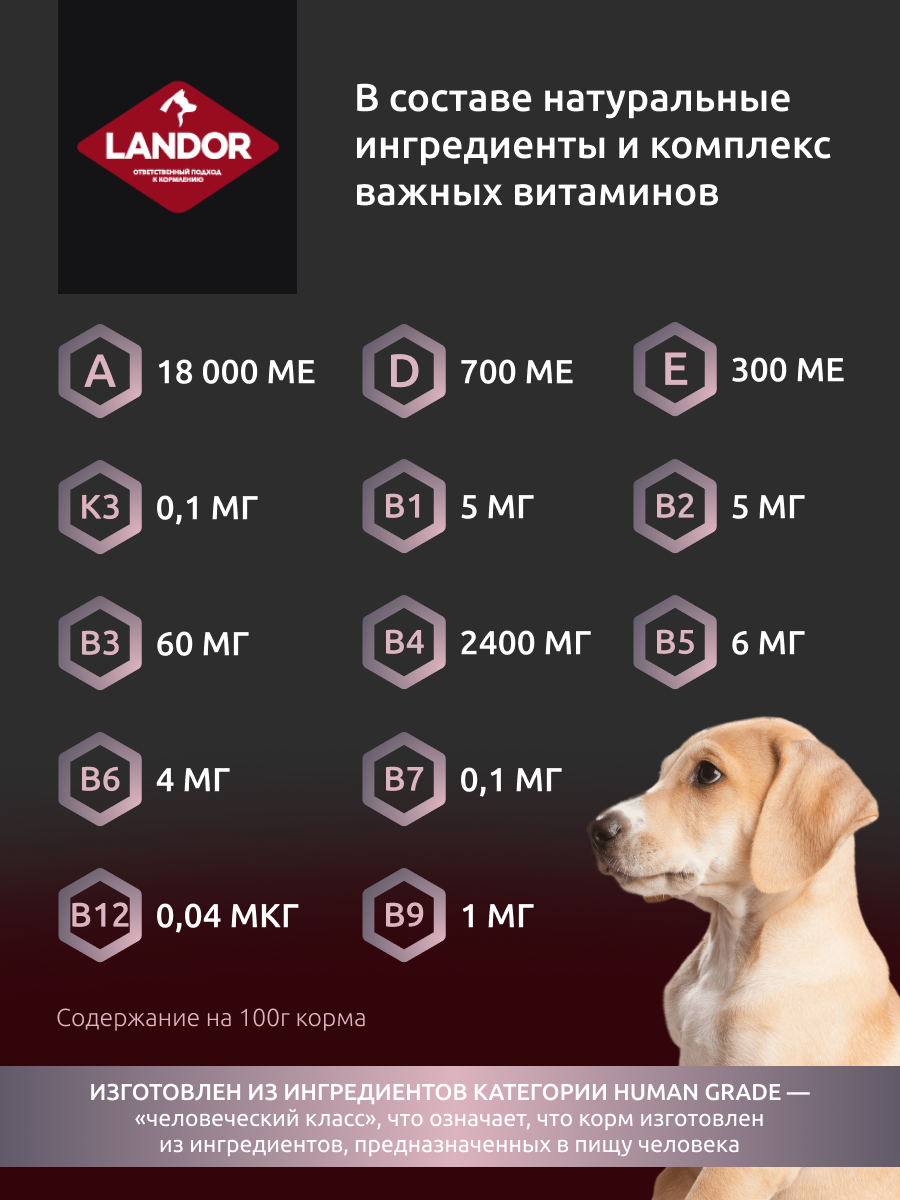 Landor полнорационный сухой корм для щенков и юниоров средних и крупных пород (Индейка и утка, 1 кг.) - фото №4