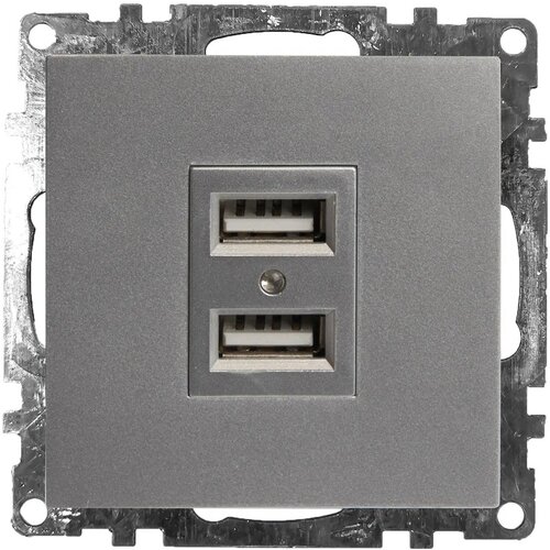 Розетка STEKKER GLS10-7115-03 с USB 2-ая 2.1A