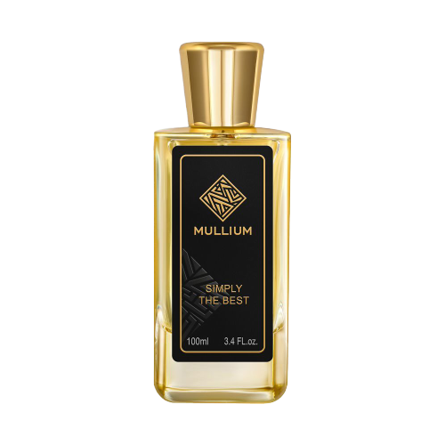 MULLIUM парфюмерная вода Simply the best for men, 100 мл mullium парфюмерная вода men s club 100 мл