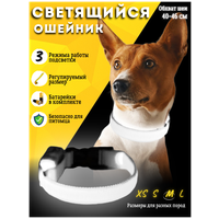 Светящийся светодиодный нейлоновый ошейник LED для собак Pet Paradise, для средних и крупных пород обхват шеи 40-46 см размер M белый