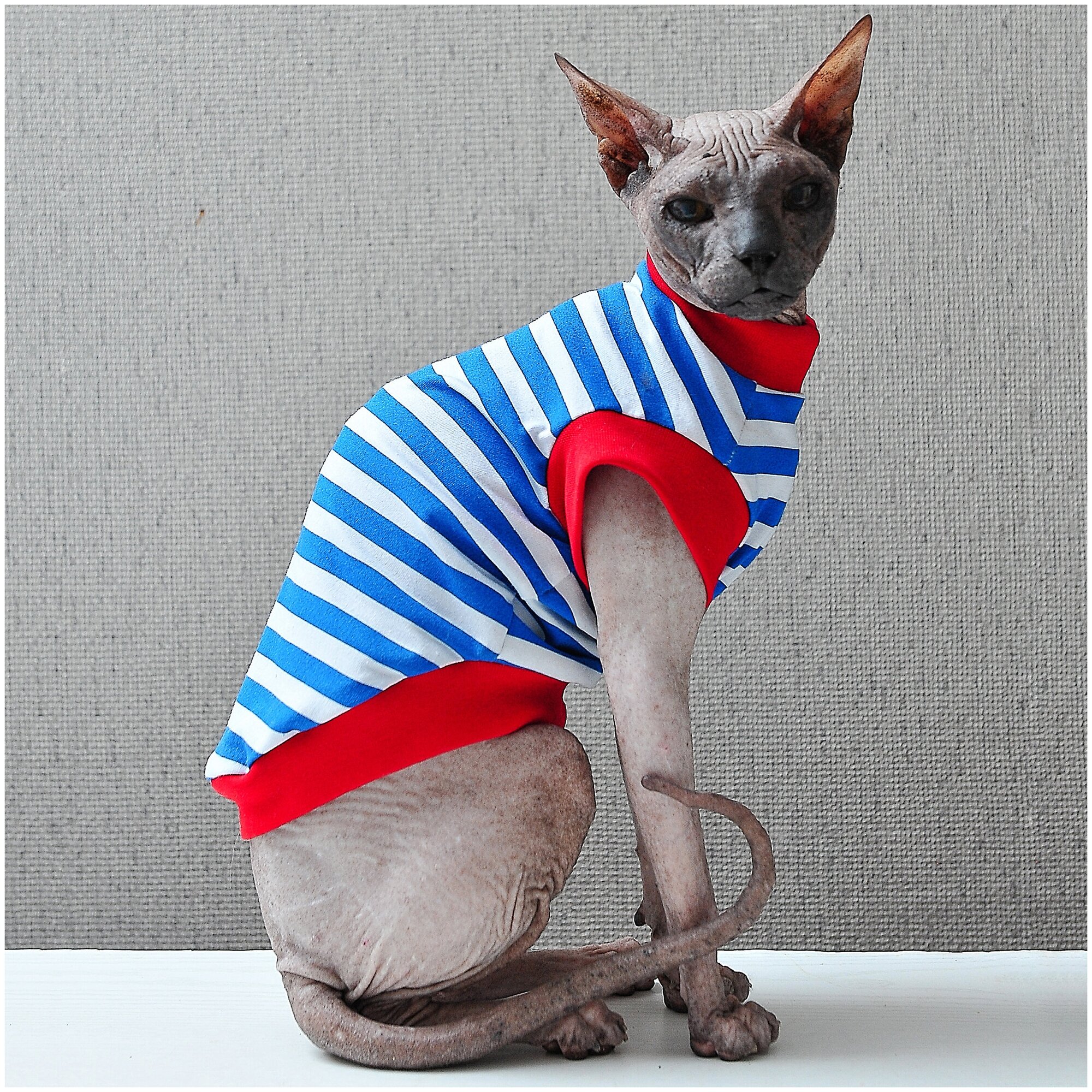 Одежда для кошек Элегантный Кот, майка Морские Полоски , размер XXL - фотография № 1