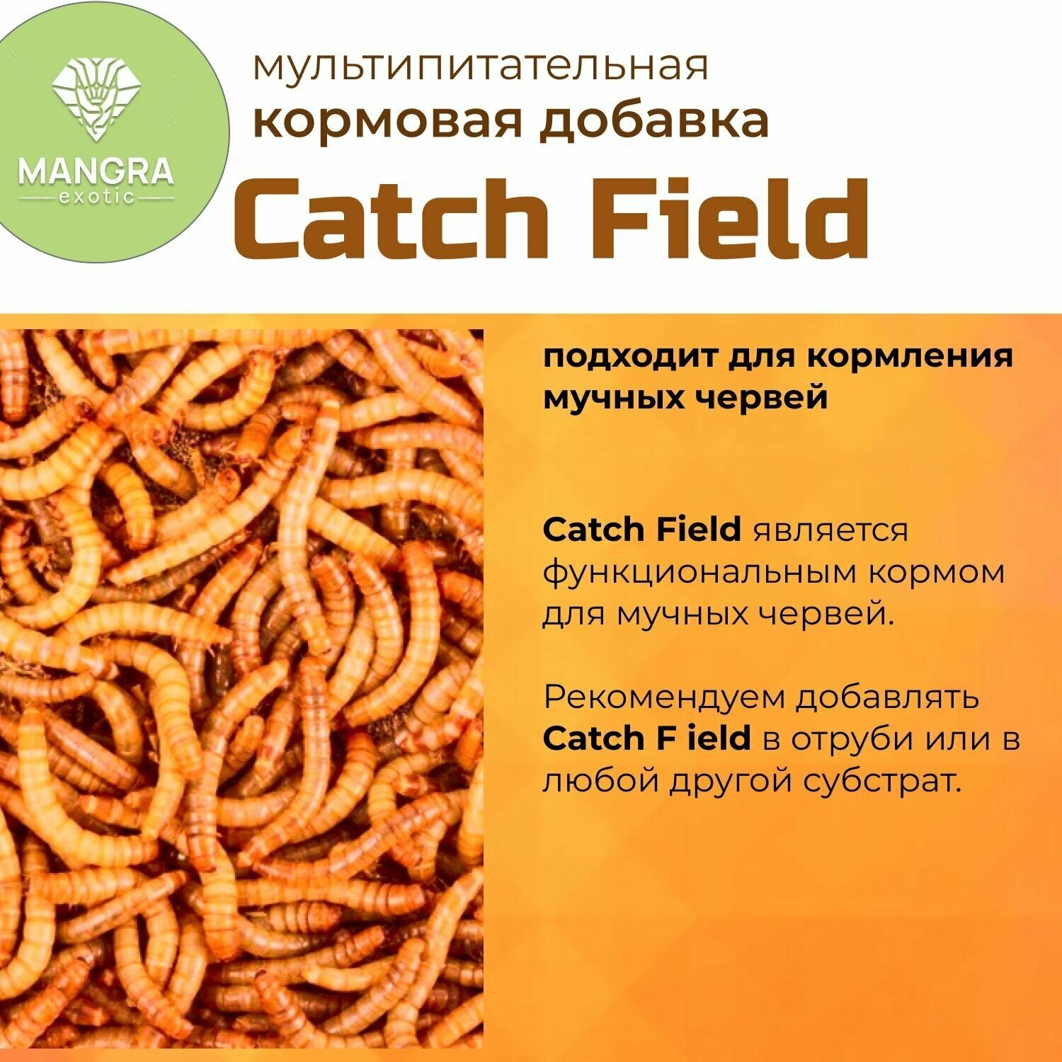 MANGRA exotic Catch Field, 650 мл - мультипитательная подкормка для рептилий, черепах, птиц, насекомых, мучных червей - функциональный корм - фотография № 3