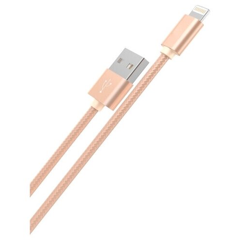 Кабель Hoco Rapid X2 USB - Lightning, 1 м, 1 шт., золотистый