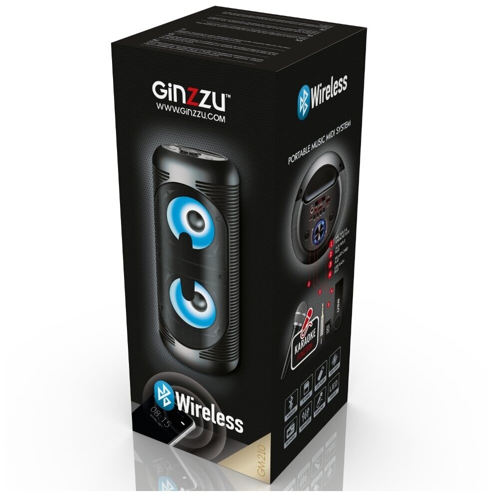 Аудиосистема Ginzzu GM-210
