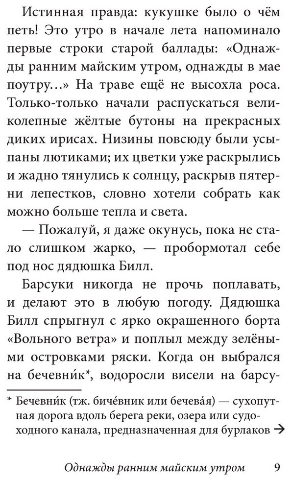 Билл Барсук и пираты (BB Уоткинс-Питчфорд Д.) - фото №6