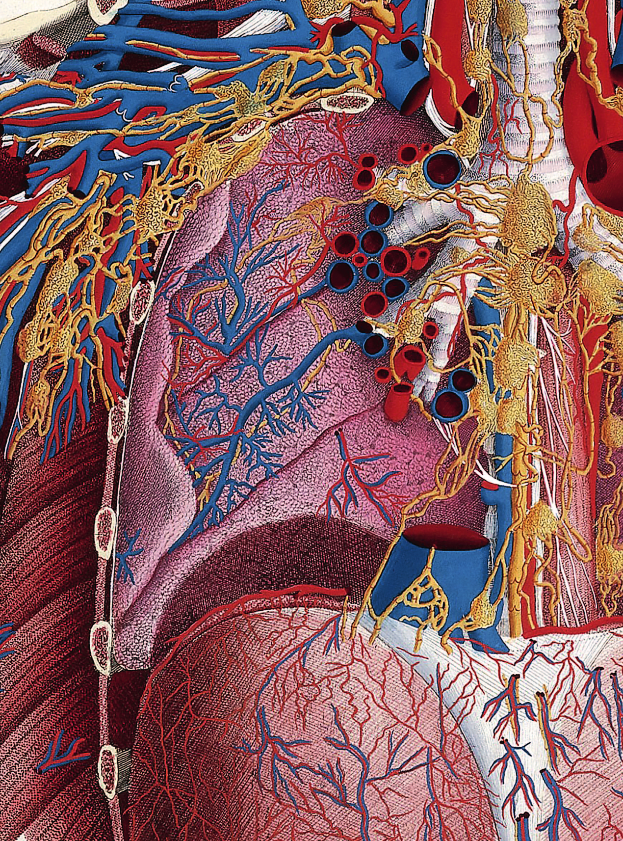 Анатомика. От ужасного до великого: человеческое тело в искусстве - фото №18