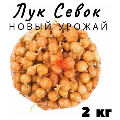 Лук Севок 2 кг лук севок золотистый семко желтый 0 5 кг