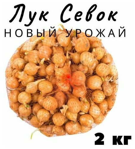 Лук Севок 2 кг