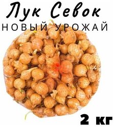 Лук Севок 2 кг