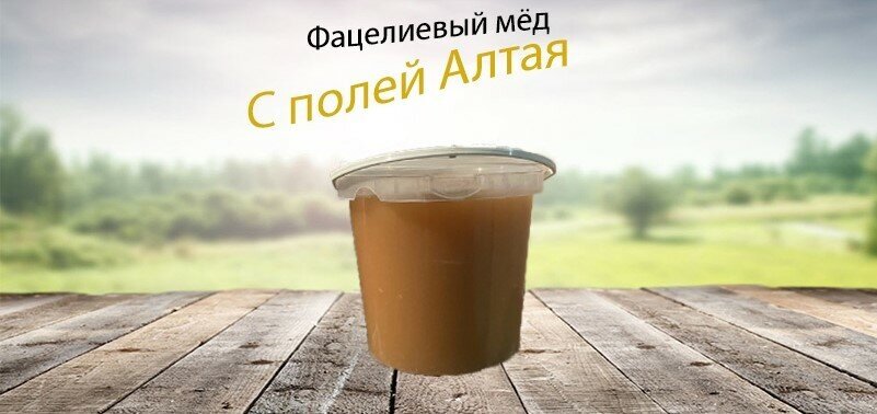 Мёд фацелиевый 1400г/Алтайский мёд - фотография № 4