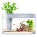 Акваферма Geometry Fish Tank Aquaponics Ecosystem C180 Standart Set (белый)