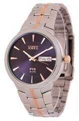 Наручные часы CASIO AST167N004