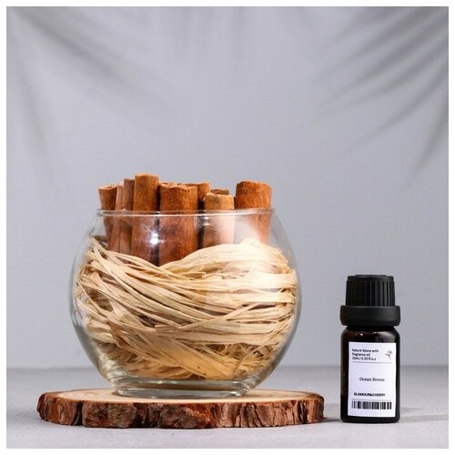 Набор ароматический: ваза-саше с корицей, ароматическое масло "Шалфей и морская соль", 10 мл