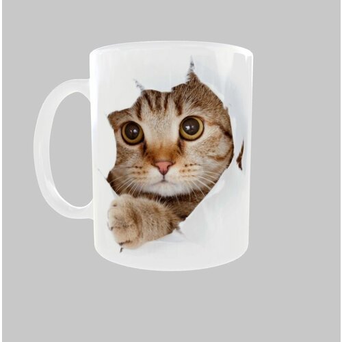 Кружка в подарок с принтом Кот