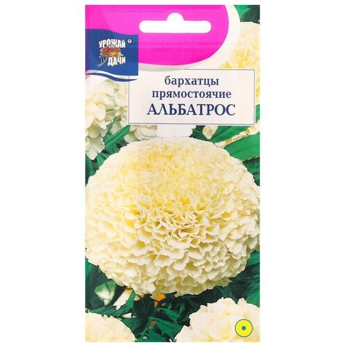 Семена цветов Бархатцы прямостоячие Альбатрос, махровые, 0,1 г