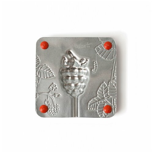 Набор для мармелада Леденцовая фабрика Малинка 0008, серебристый