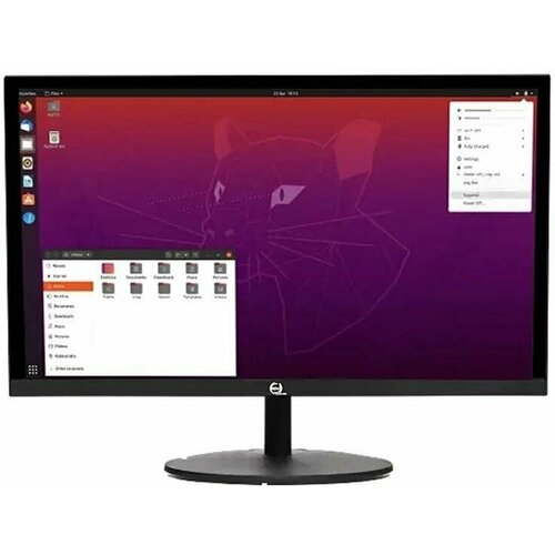 Монитор 238 RDW Computers RDW2401K 2369300₽