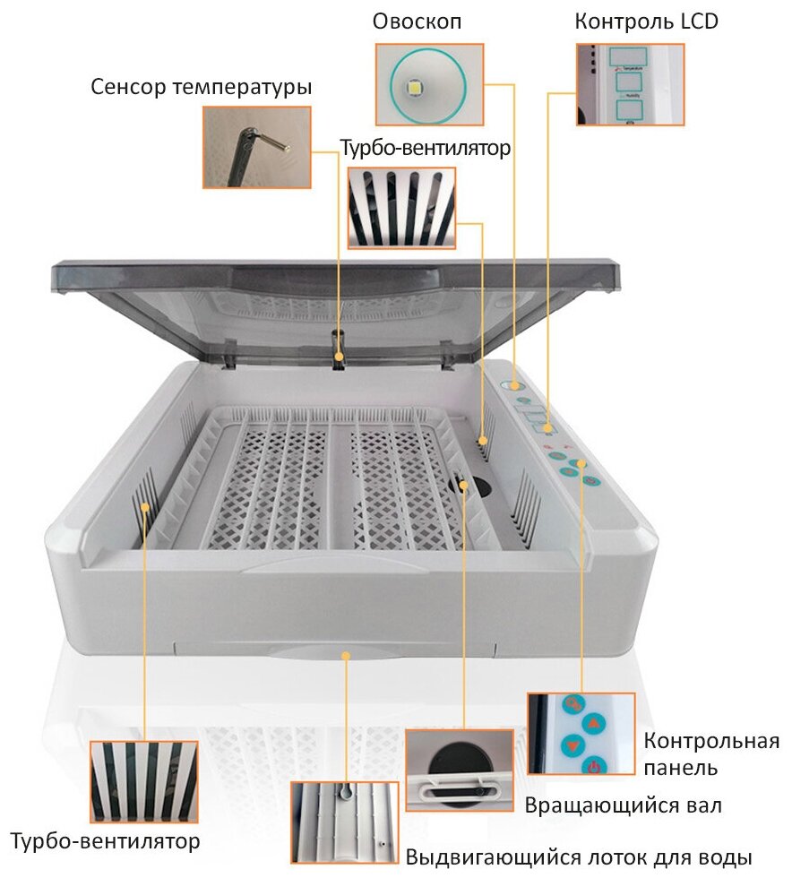 Инкубатор HHD 36 автоматический для яиц с овоскопом - фотография № 4