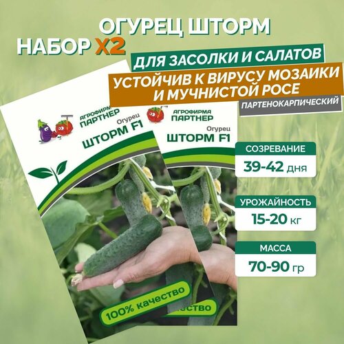 Семена огурцов: шторм F1 (5ШТ)/ агрофирма партнер/ 2 упаковки по 5 семян
