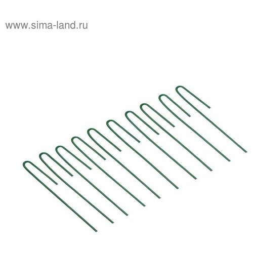 Колышек универсальный, h = 20 см, ножка d = 0.3 см, набор 10 шт, зелёный