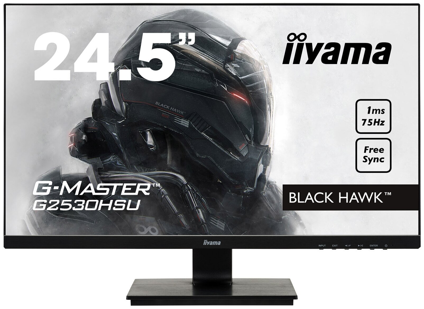  Iiyama G-Master G2530HSU-B1