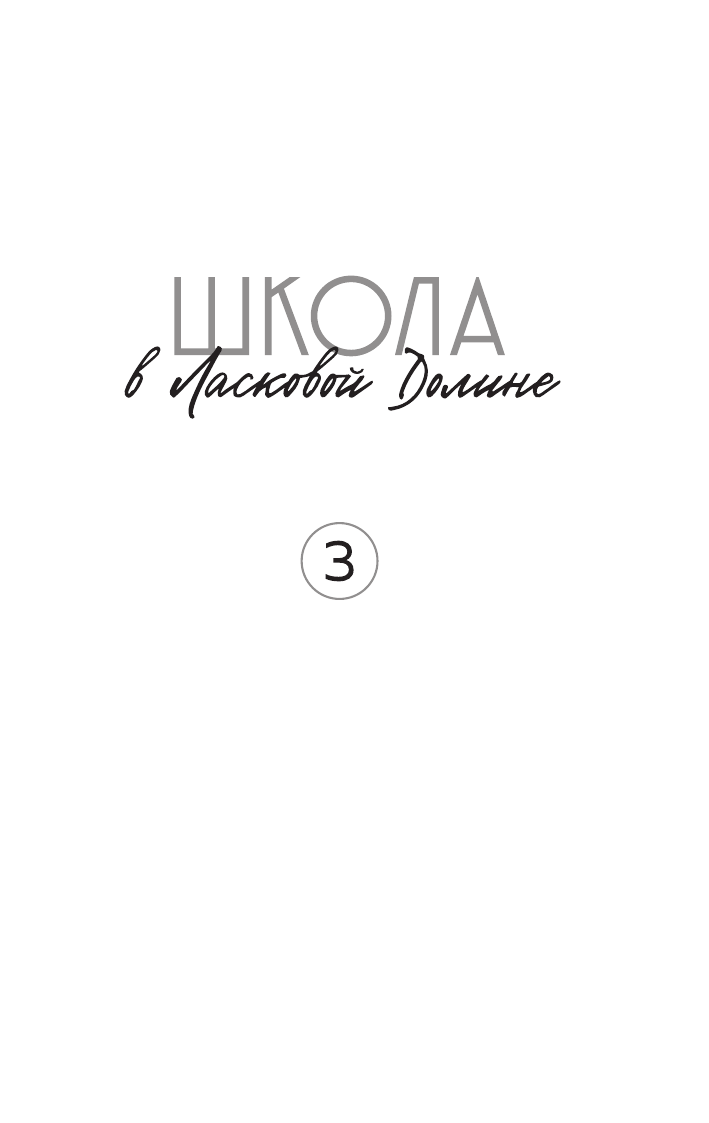 Школа в Ласковой Долине. Игра с огнем (книга № 3) - фото №4