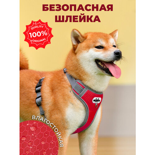 Шлейка MiloPets для собак анатомическая, охват груди XL 74-94 см, красный