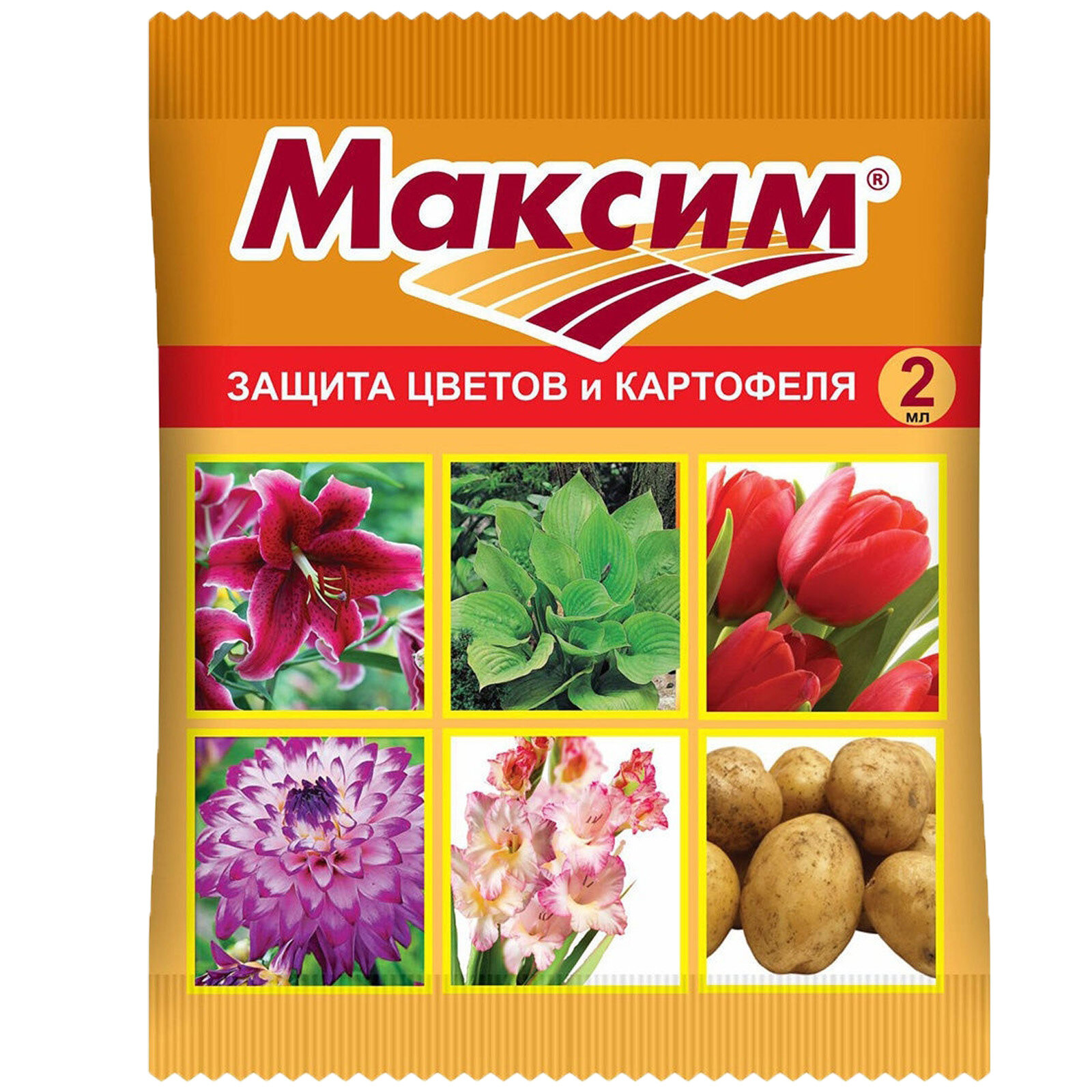 Максим средство для защиты луковичных растений и семенного картофеля от болезней 2 мл