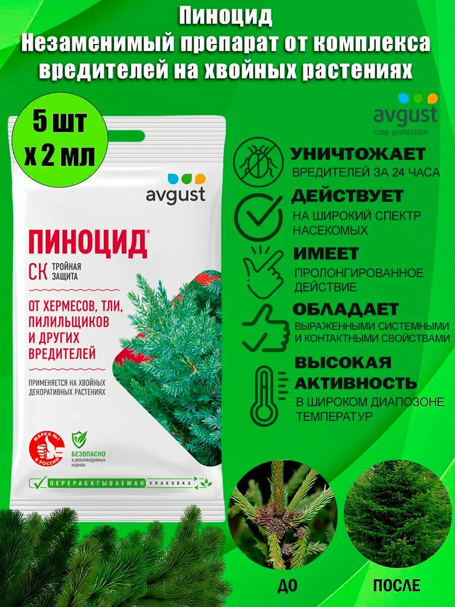Незаменимый препарат от комплекса вредителей на хвойных растениях Пиноцид Avgust 2 мл