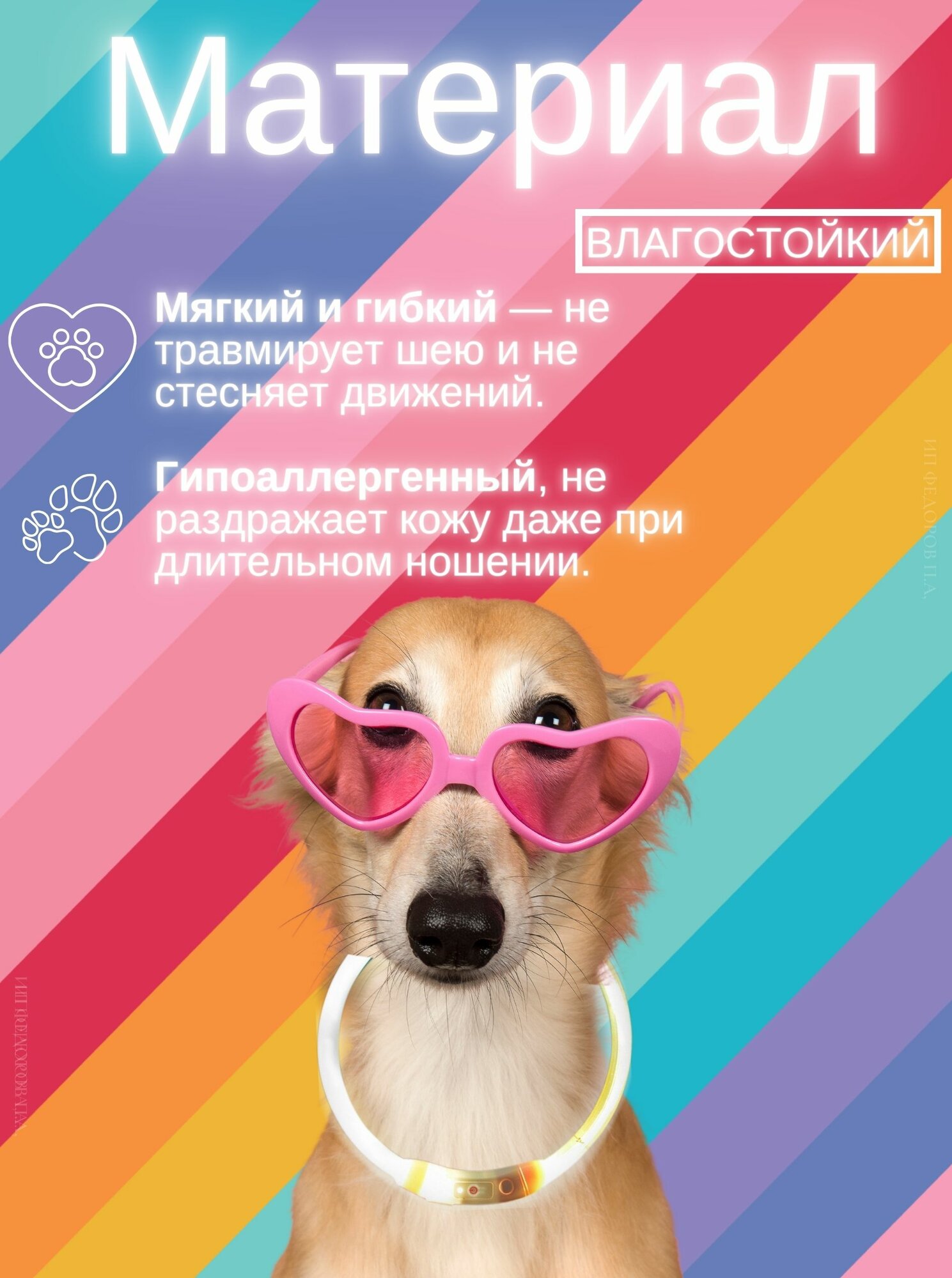 Светящийся ошейник для собак, регулируемый размер, Мультицвет — фото 1