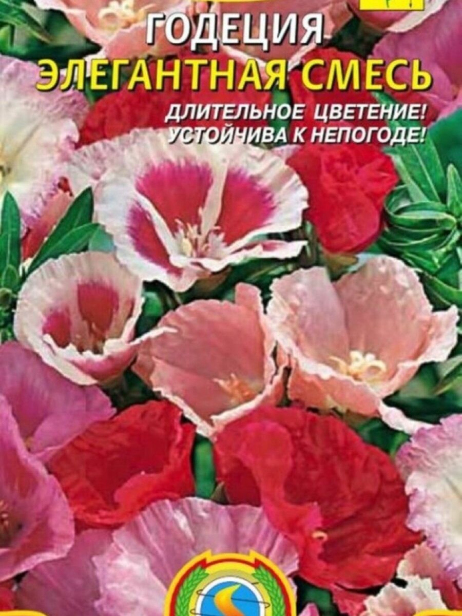 Семена Годеция Элегантная смесь 02 гр Плазменные семена
